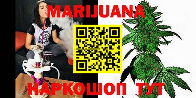 прущие грибы Канаш