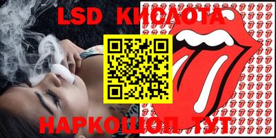 прущие грибы Канаш