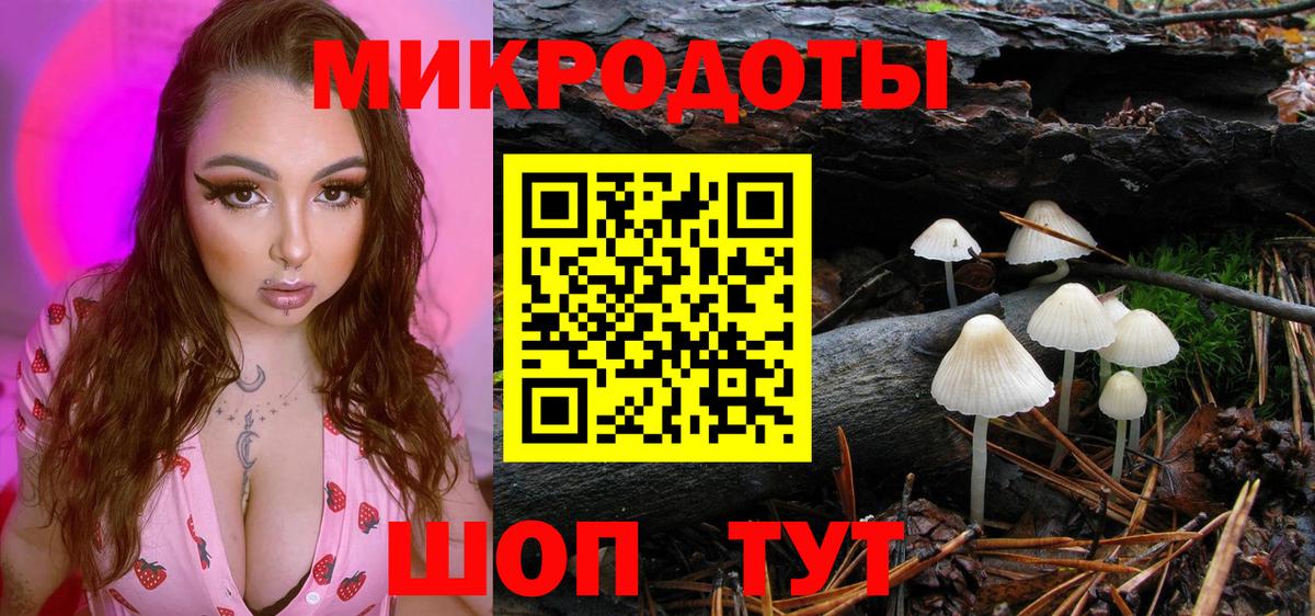 Псилоцибиновые грибы мицелий  Вход с VPN  Махачкала 